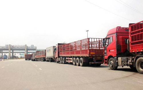 貨運(yùn)行業(yè)新動(dòng)向 兩會(huì)提案聚焦高速免費(fèi)與多證合一，助力道路貨物運(yùn)輸代理發(fā)展